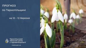 погода березень