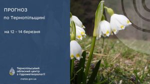 погода березень