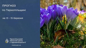 погода березень