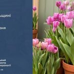 погода березень