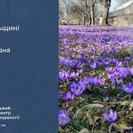 До 15° тепла: прогноз погоди у Тернополі на 17 березня