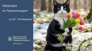 До 8° тепла: прогноз погоди у Тернополі на 2 березня
