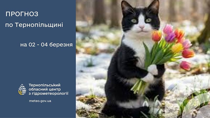 До 8° тепла: прогноз погоди у Тернополі на 2 березня