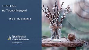 До 12° тепла: прогноз погоди на Тернопільщині на 4 березня