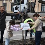 Тернопіль озеленюється і допомагає ЗСУ: Сергій Надал