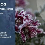 Сильні заморозки: прогноз погоди у Тернополі на 11 квітня