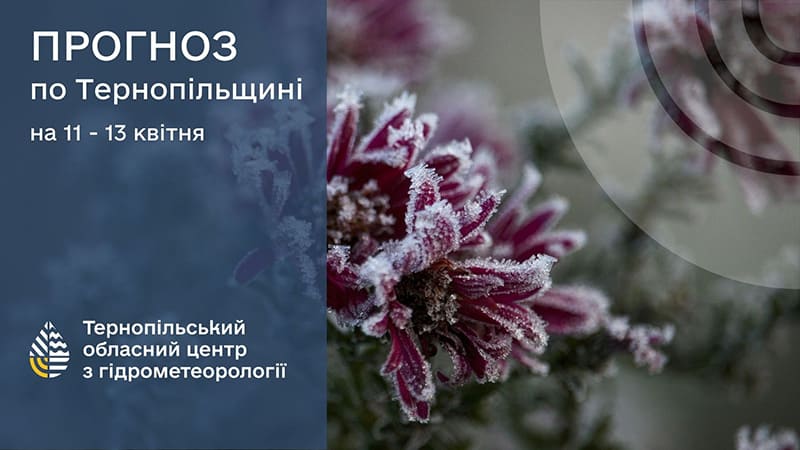 Сильні заморозки: прогноз погоди у Тернополі на 11 квітня