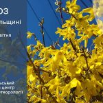 погода квітень