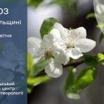 До 13º тепла: прогноз погоди у Тернополі на 24 квітня
