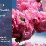 погода квітень