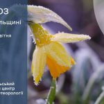 Сильні заморозки: прогноз погоди у Тернополі на 27 квітня
