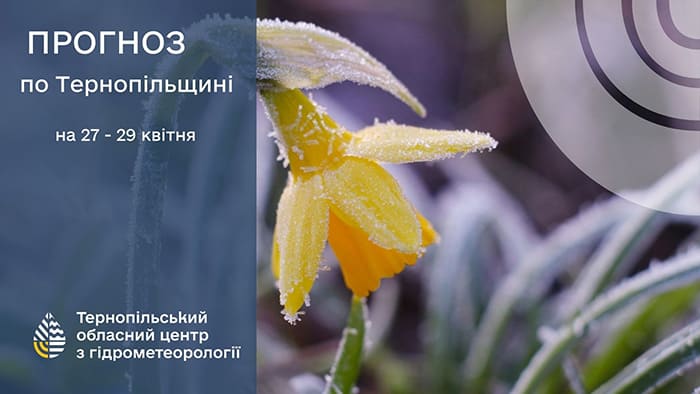 Сильні заморозки: прогноз погоди у Тернополі на 27 квітня