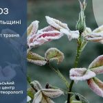Сильні заморозки: прогноз погоди у Тернополі на 29 квітня