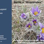 До 15° тепла: прогноз погоди у Тернополі на 3 квітня
