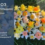 погода квітень