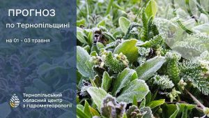 погода травень