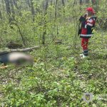 Поблизу Тернополя під час зрізання дерева загинув 28-річний чоловік