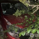 Внаслідок аварії травмувалися двоє жителів Борщова