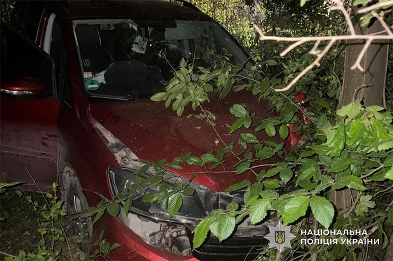 Внаслідок аварії травмувалися двоє жителів Борщова