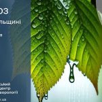 погода травень