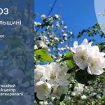 До 23º тепла: прогноз погоди у Тернополі на 8 травня