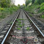 На Бучаччині внаслідок наїзду поїзда загинула жінка