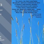 До 26° тепла: прогноз погоди у Тернополі на 19 червня