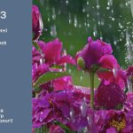 Короткочасні дощі: прогноз погоди у Тернополі на 2 червня