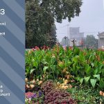 Невеликі дощі: прогноз погоди у Тернополі на 6 червня