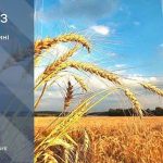 До 30° тепла: прогноз погоди у Тернополі на 16 липня