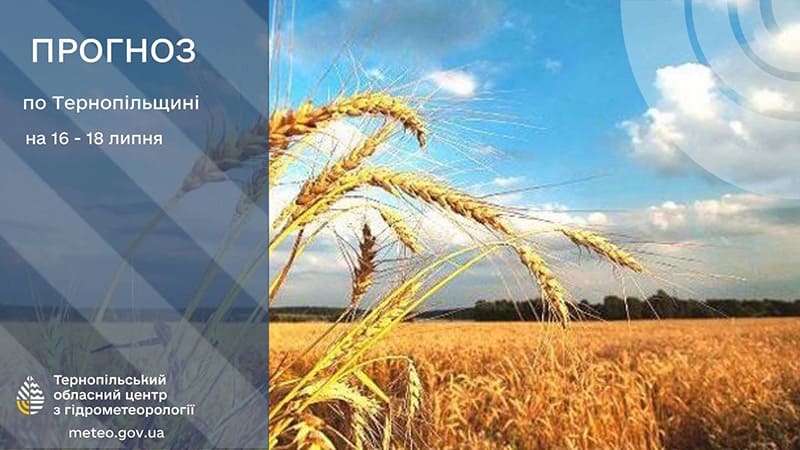 До 30° тепла: прогноз погоди у Тернополі на 16 липня