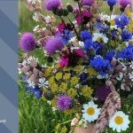 До 25° тепла: прогноз погоди у Тернополі на 21 липня