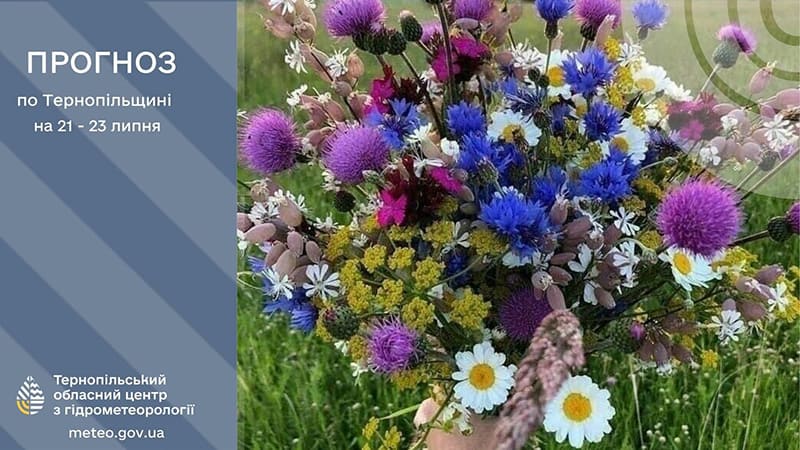 До 25° тепла: прогноз погоди у Тернополі на 21 липня