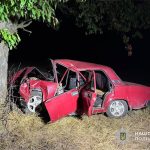 аварія дерево