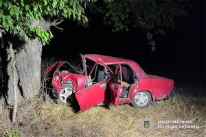 аварія дерево