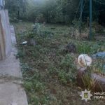 Житель Лановеччини застрелив сусідського кота