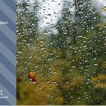 Дощі і до 15° тепла: прогноз погоди у Тернополі на 20 жовтня