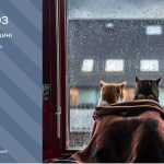 Хмарно і дощ: прогноз погоди у Тернополі на 27 жовтня